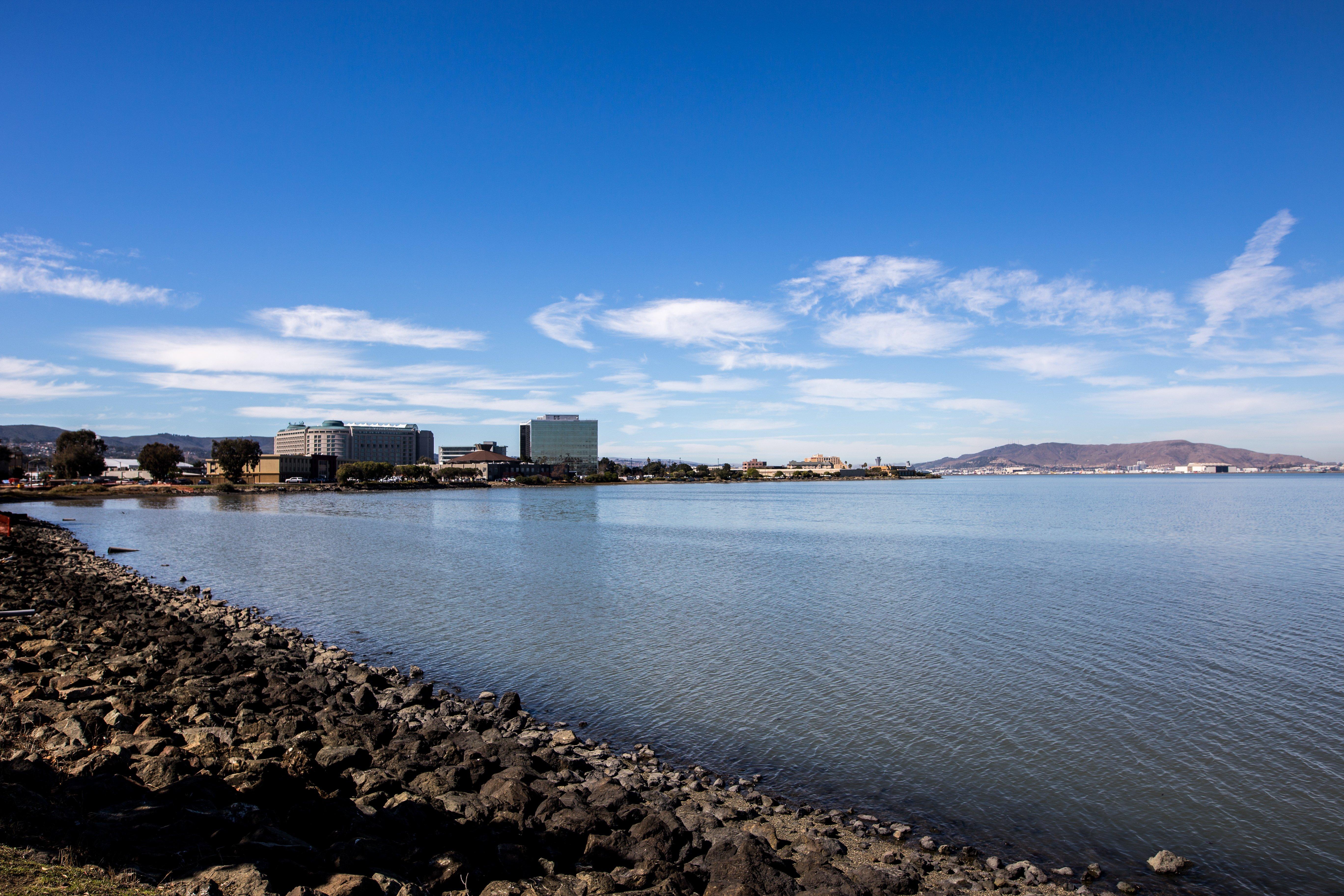 Hotel Crowne Plaza San Francisco Airport By Ihg