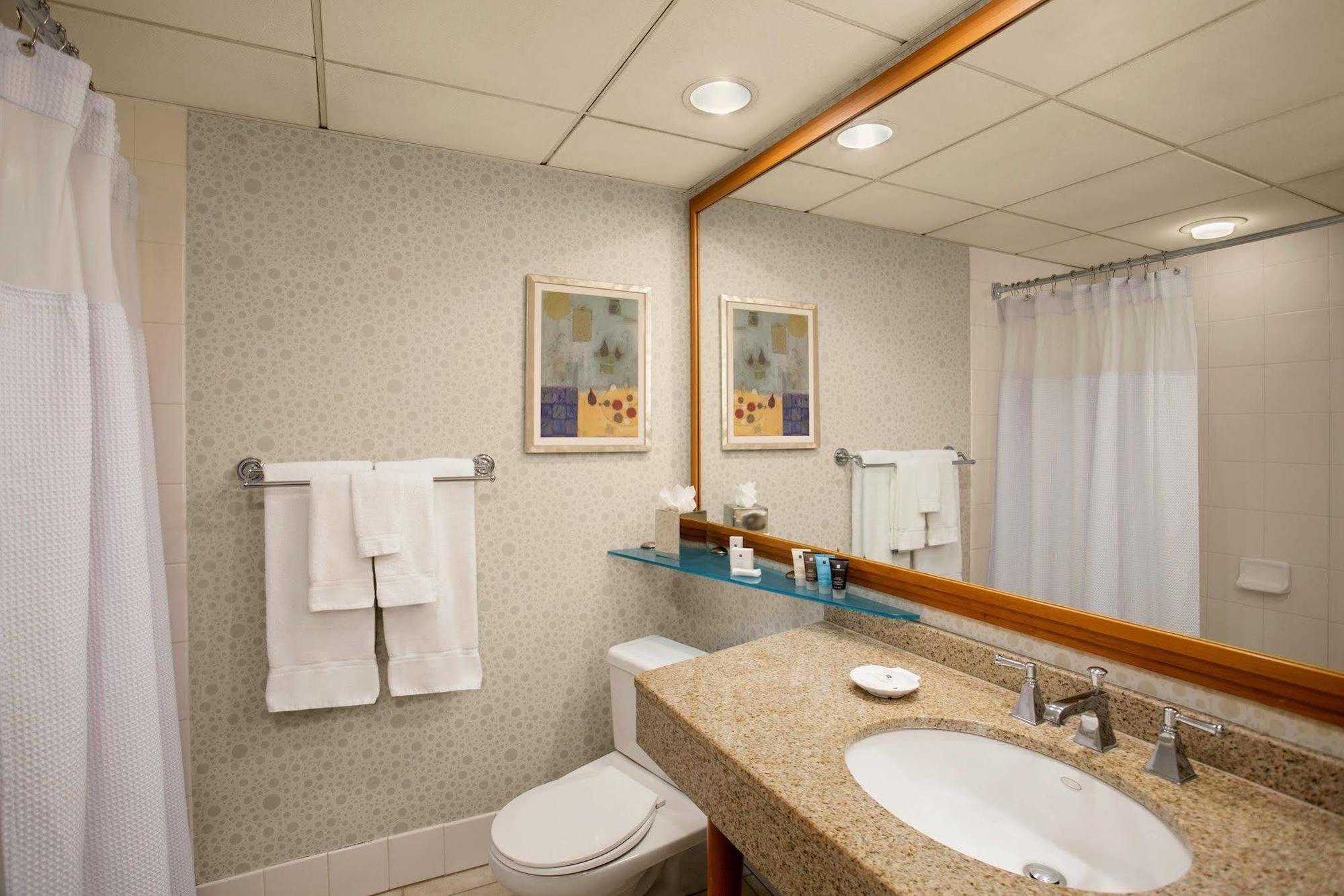Crowne Plaza San Francisco Airport By Ihg Hotel Burlingame